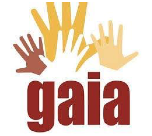 Global Alliance for Incinerator Alternatives (GAIA)