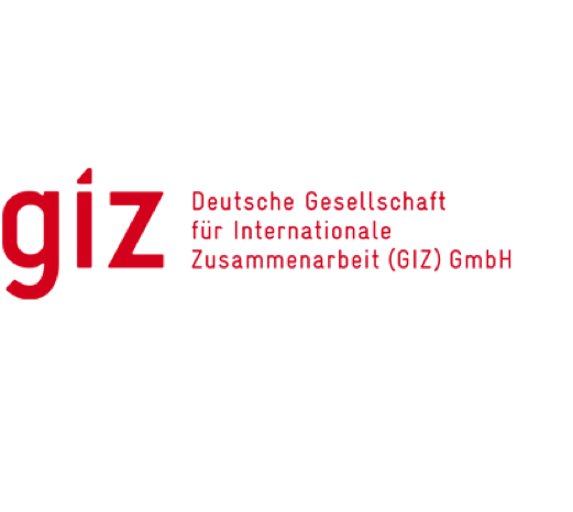 GIZ (Deutsche Gesellschaft fuer Internationale Zusammenarbeit)